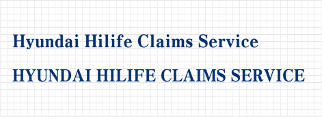 Hyundai Hilife Claims Service 소문자, 대문자 로고타입”